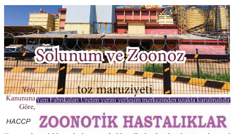 o0TOZu SENYut